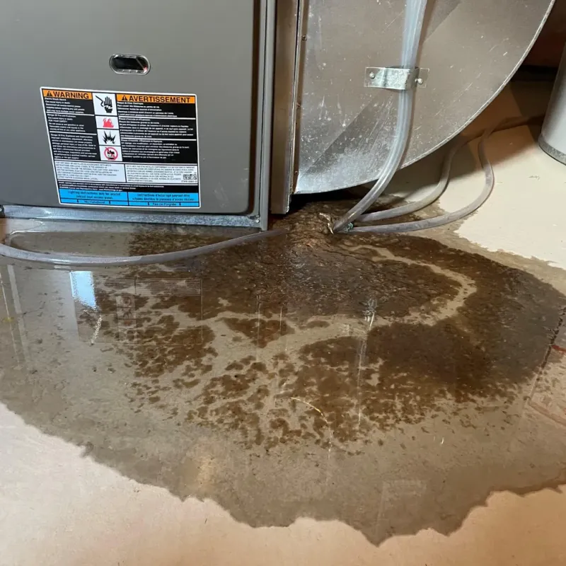 Appliance Leak Cleanup in Ingenio, PR