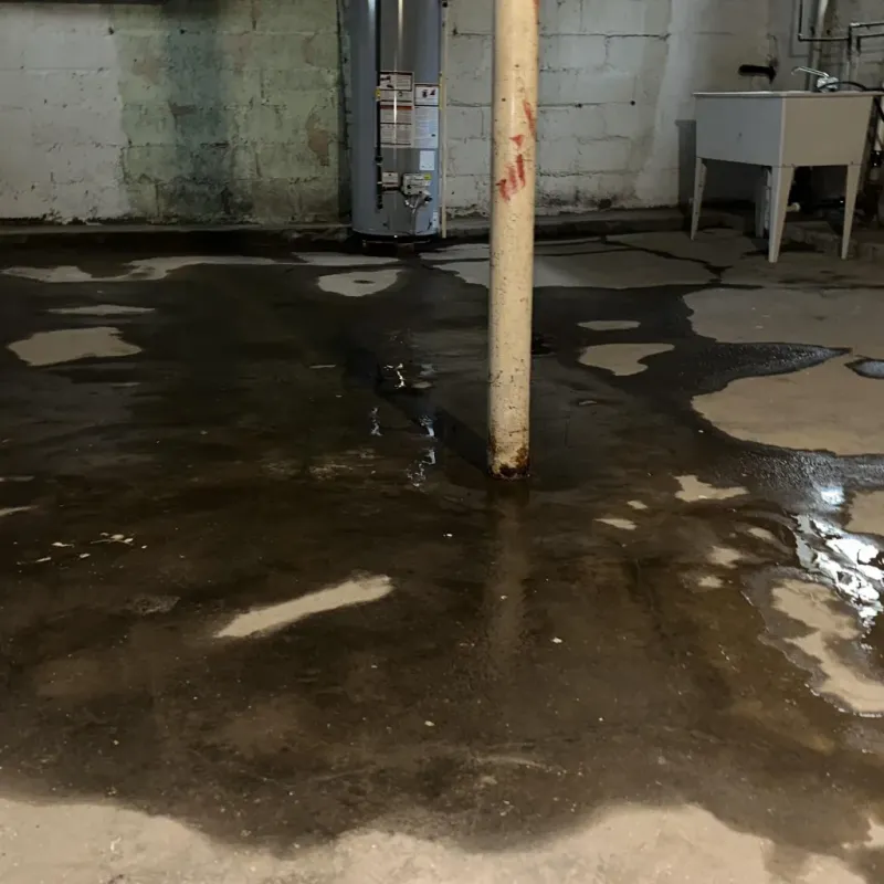 Emergency Water Extraction And Removal in Ingenio, PR